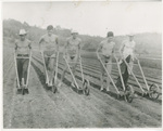 Students plowing a field by Brooklyn College