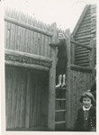 Woman Climbing Ladder by Brooklyn College