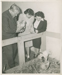 Prof. Benedict, Students and Chickens by Brooklyn College