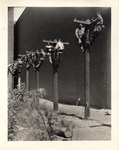 Students Working on Telephone Poles at the New York Trade School by New York Trade School